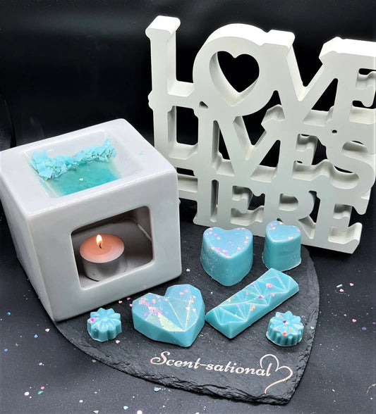 The Most Scent Sational Wax Melts Scent Sational Wax melts