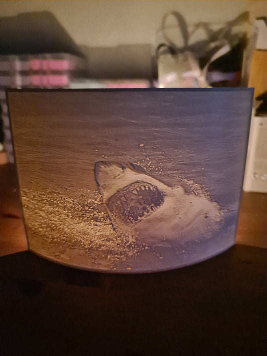 Crafted for you! Personalized 3D Lithophane