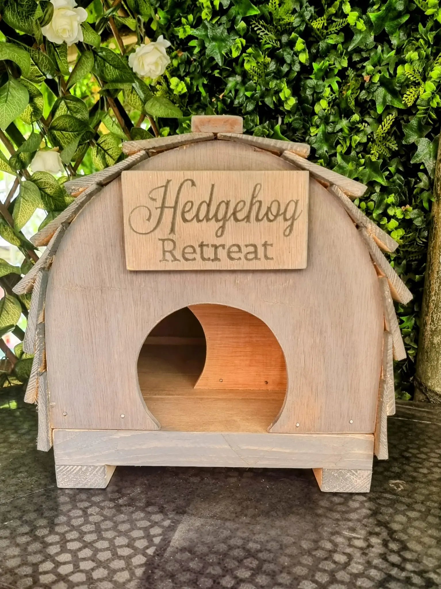 Welcome to the Ultimate Hedgehog Retreat wisteria woodcraft, wooden decor